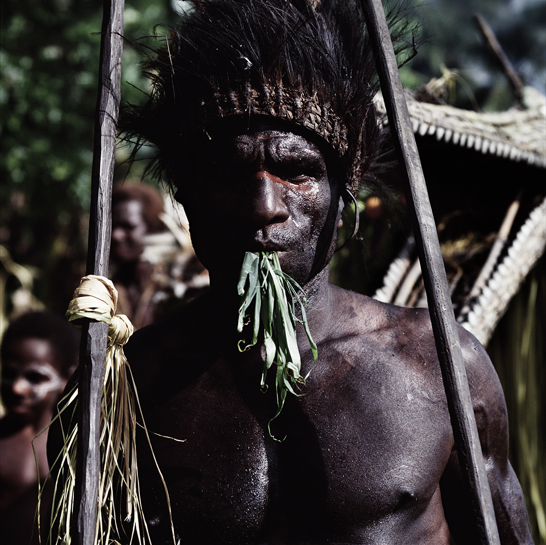 Crocodile Ritual Yentchen